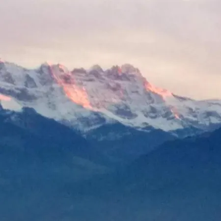 Appartement Alpine